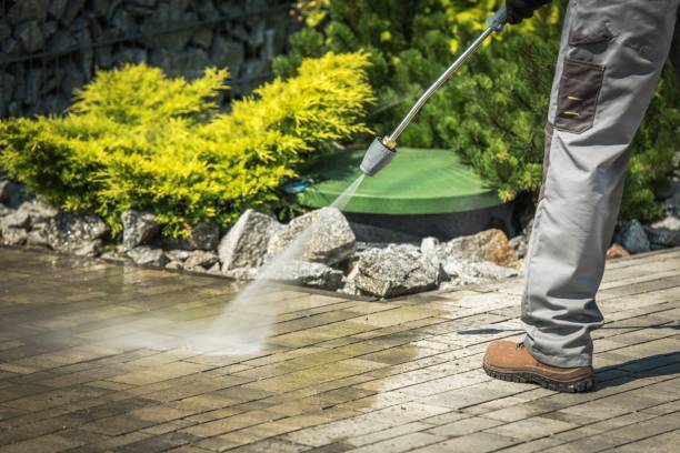 Best Pool Deck Cleaning  in Farngton Hills, MI